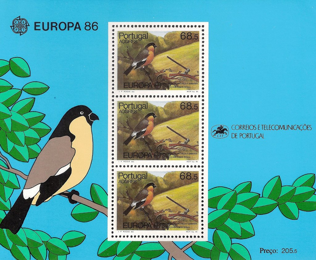 Azores Bullfinch (Pyrrhula murina)