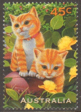 Ginger Cat