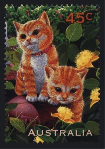 Ginger Cat