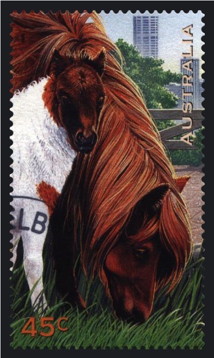 Pony (Horse)
