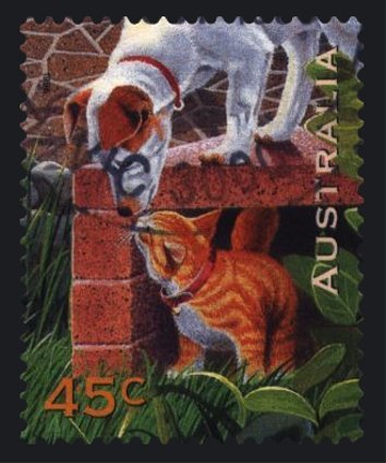 Dog & Cat