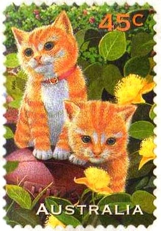 Ginger Cat