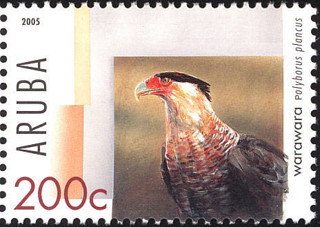 Southern Crested Caracara (Polyborus plancus)