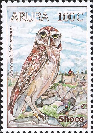 Burrowing Owl (Athene cunicularia)
