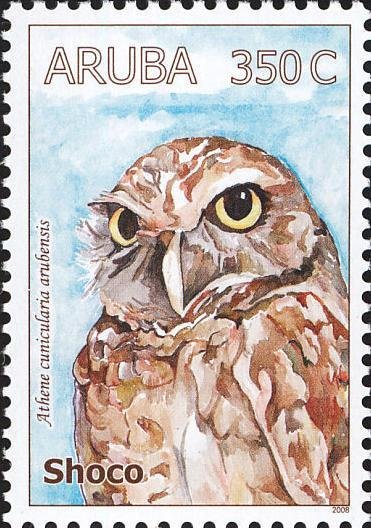 Burrowing Owl (Athene cunicularia)