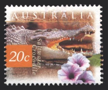 Saltwater Crocodile (Crocodylus porosus)
