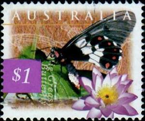 Stamp, Big Greasy (Cressida cressida), Blue Waterlilly (Nymphaea vi, Australia,  , Butterflies