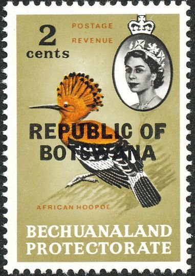 African Hoopoe (Upupa africana)