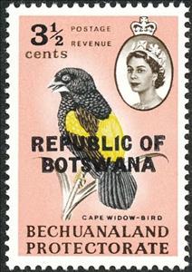 Stamp, Yellow Bishop (Colliuspasser capensis), Botswana,  