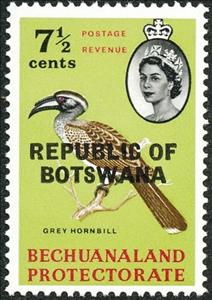 Stamp, African Grey Hornbill (Tockus nasutus), Botswana,  