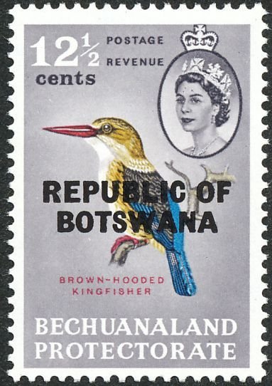 Brown-hooded Kingfisher (Halcyon albiventris)