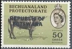 Betschuana Cattle (Bos primigenius taurus)