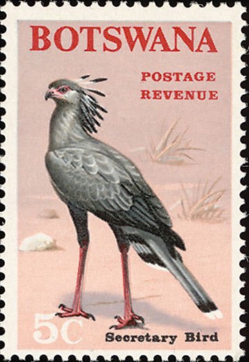 Secretarybird (Sagittarius serpentarius)