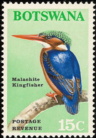 Malachite Kingfisher (Corythornis cristata)
