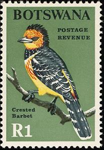 Stamp, Crested Barbet (Trachyphonus vaillantii) , Botswana,  , Birds