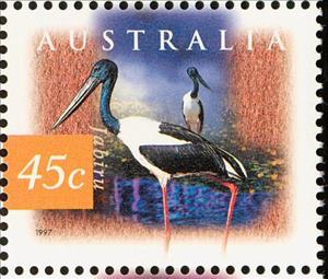 Stamp, Black-necked Stork - Jabiru (Ephippiorhynchus asiaticus), Australia,  , Storks