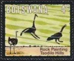 Ostrich