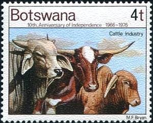 Stamp, Cattle (Bos primigenius taurus), Botswana,  