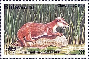 Stamp, African Clawless Otter (Aonyx capensis) , Botswana,  , WWF, Animals (Fauna)