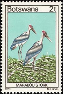 Stamp, Marabou (Leptoptilos crumeniferus), Botswana,  , Birds, Storks