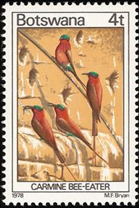 Stamp, Carmine Bee-eater (Merops nubicoides), Botswana,  , Birds