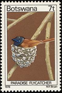 Stamp, African Paradise Flycatcher (Terpsiphone viridis), Botswana,  , Birds