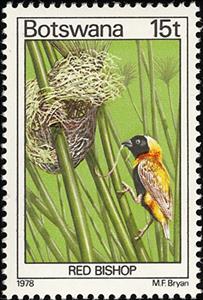 Stamp, Southern Red Bishop (Euplectes orix), Botswana,  , Birds