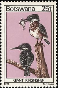 Stamp, African Giant Kingfisher (Ceryle maxima), Botswana,  , Birds, Animals (Fauna), Kingfishers
