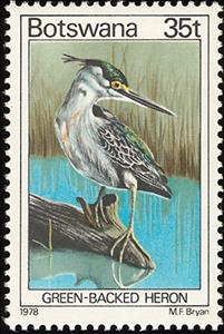 Stamp, Striated Heron (Butorides striatus), Botswana,  , Birds