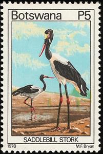 Stamp, Saddle-billed Stork (Ephippiorhynchus senegalensis), Botswana,  , Birds