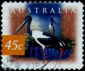 Stamp, Black-necked Stork - Jabiru (Ephippiorhynchus asiaticus), Australia,  , Birds, Storks, Animals (Fauna)