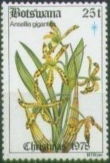Stamp, Ansellia africana (syn.Ansellia gigantea), Botswana,  , Flowers, Christmas, Orchids, Plants (Flora)