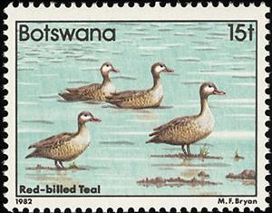 Stamp, Red-billed Teal (Anas erythrorhyncha), Botswana,  , Birds