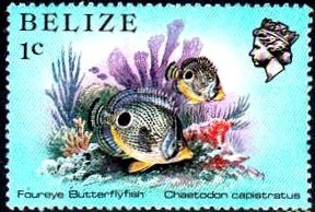 Stamp, Foureye Butterflyfish (Chaetodon capistratus), Belize,  , Fishes