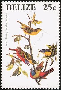 Stamp, Painted Bunting (Passerina ciris), Belize,  , Birds