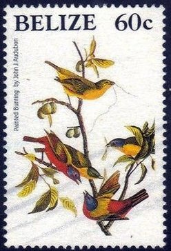 Stamp, Painted Bunting (Passerina ciris) - new value, Belize,  , Birds