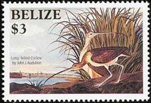 Stamp, Long-billed Curlew (Numenius americanus), Belize,  , Birds