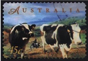 Stamp, Dairy Cows, Australia,  , Animals (Fauna), Bulls and Cows