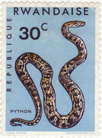 African Rock Phyton (Python sebae)