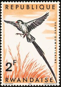 Stamp, Pin-tailed Whydah (Vidua macroura), Rwanda,  , Birds, Animals (Fauna)