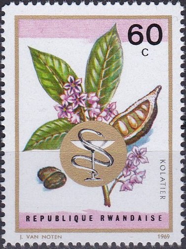 Cola acuminata