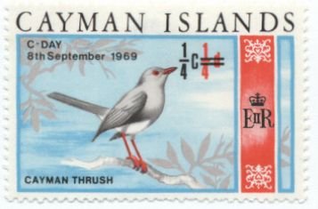 Grand Cayman Thrush (Turdus ravidus)