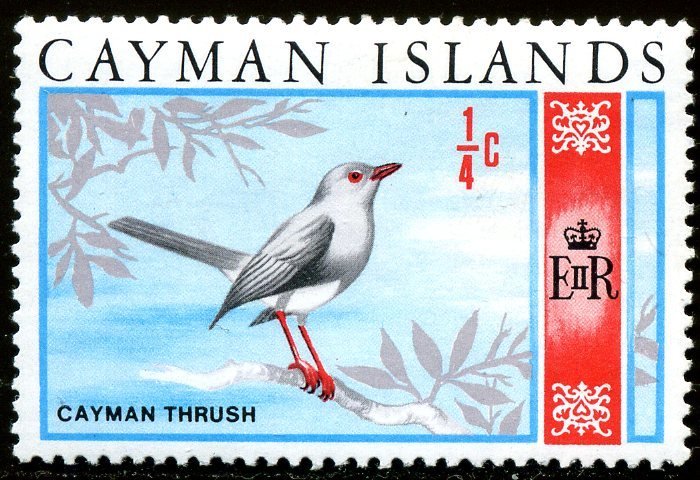 Grand Cayman Thrush (Turdus ravidus)