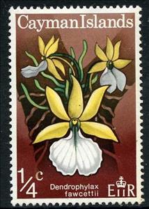 Stamp, Dendrophylax fawcettii, Cayman Islands,  , Flowers, Orchids, Plants (Flora)