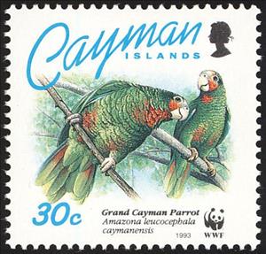 Stamp, Cayman Island Amazon (Amazona leucocephala caymanensis), Cayman Islands,  , Birds, WWF, Parrots, Animals (Fauna)
