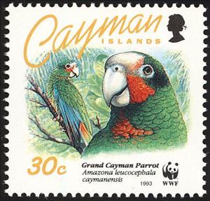 Stamp, Cayman Island Amazon (Amazona leucocephala caymanensis), Cayman Islands,  , Birds, WWF, Parrots, Animals (Fauna)