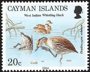 Stamp, West Indian Whistling Duck (Dendrocygna arborea), Cayman Islands,  , Birds, Ducks, Animals (Fauna)