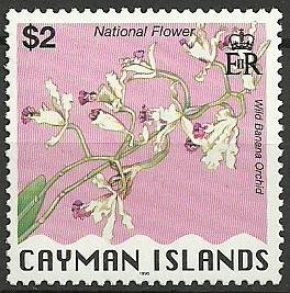 Stamp, Myrmecophila thomsoniana (syn.Schomburgkia thomsoniana), Cayman Islands,  , Flowers, Orchids, Plants (Flora)