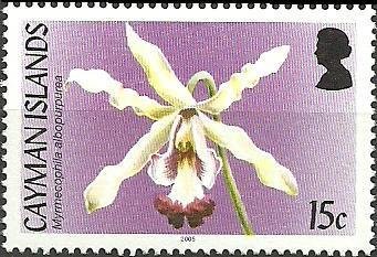 Myrmecophila albopurpurea