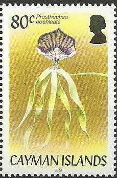 Stamp, Prosthechea cochleata, Cayman Islands,  , Flowers, Orchids, Plants (Flora)